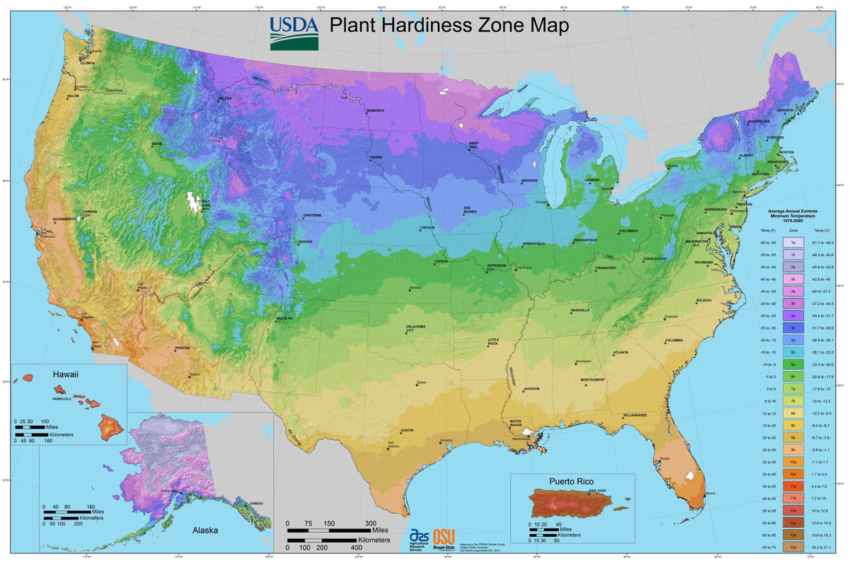 Understanding Hardiness Zones: A Guide to Choosing Plants for Your Cli ...